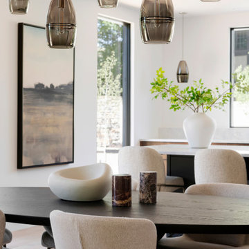 N44° 56' 06" | Bde Maka Ska | Modern Minneapolis Home