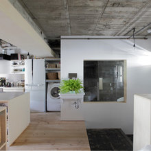renovation : FRAMING