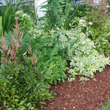 Waterfront Gardens Overlooking Plymouth Harbor, MA