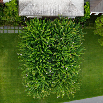 Sullivan's Island, SC Landscaping