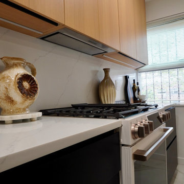 Brooklyn Luxury Kitchen Renovation