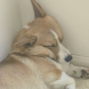 Gretchen Kurz's photo