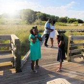 Brianna Williams's photo