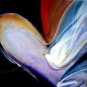 Barbara Lauck Walsh's photo