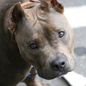 Holly Higgs's photo