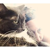Janeane Wilbur's photo