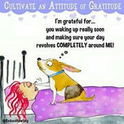 Lynne Lennon's photo