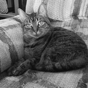 Diana Hanson's photo