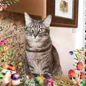 Annie Moore's photo