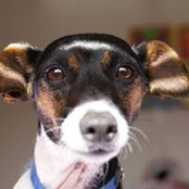 Sharon Smith's photo