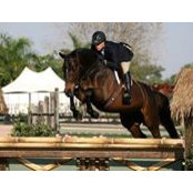 shogordon's photo