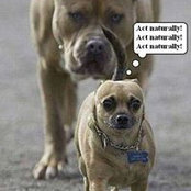 William Rollo's photo