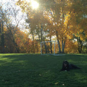 Emily O'DONNELL's photo