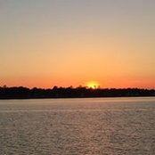Janet McNally's photo