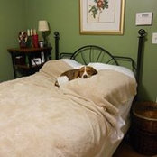 Cindy Herron's photo