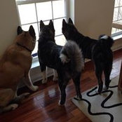 Jackie Wiltse's photo
