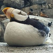 Ginny Stanerson's photo