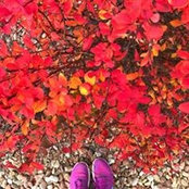 Olya Kalatsei's photo