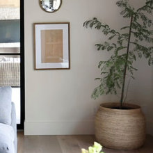 Trim/Baseboard
