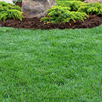 Norman, OK Landscaping Renovation