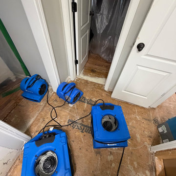 Water Damage Mitigation