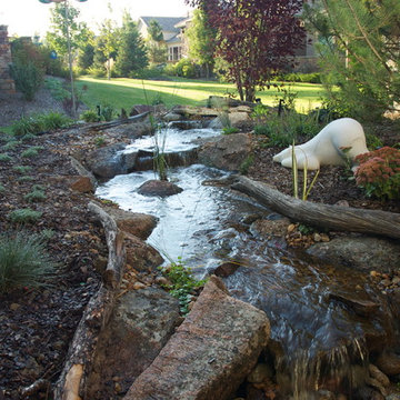 Pondless Water Falls