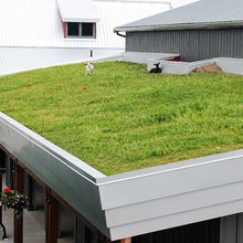 Green Roof