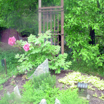 Landscape Design