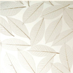 FOSSIL LEAF - Products