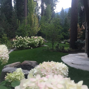 Enchanted Tahoe
