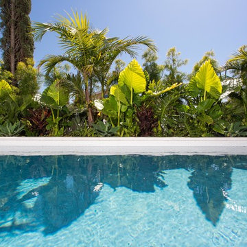 Spanish Modern