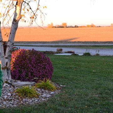 In the Country