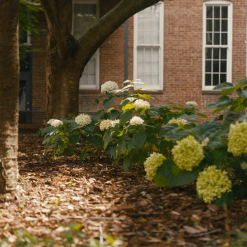 Community Courtyard Transformation