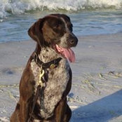 Foto de Roxann Frey
