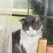 katie linville's photo