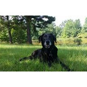 Catherine Staggs's photo