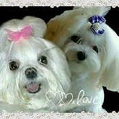 Caryn Lee's photo