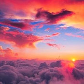 Dana Watts's photo