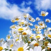 Cheryl Carter's photo