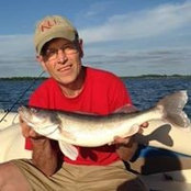 Al Neufeld's photo