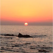 Debbie Kay's photo