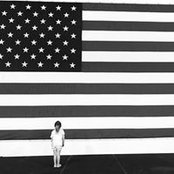David Adams's photo