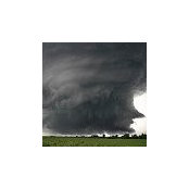 Wendy Spearman's photo