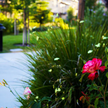 Planting Material