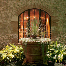 Planter ideas