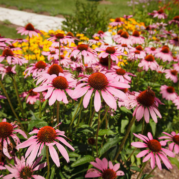 Farmhouse Landscape Renovation - Cedarburg