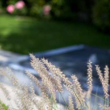 JARDIN CONTEMPORAIN