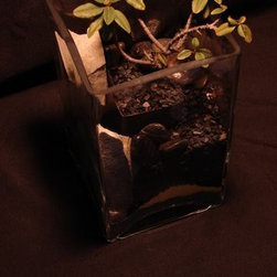 Rhamnus (California Coffeeberry) - Mixed Media Art