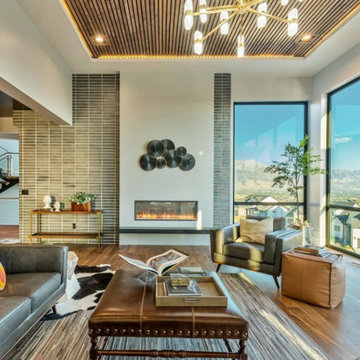 Living & Family Room Designs