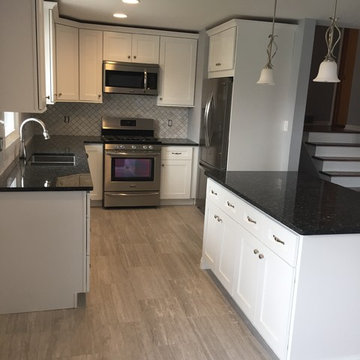 New Kitchen in Western Springs
